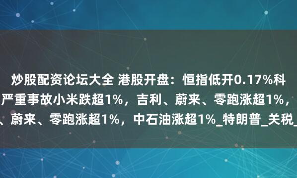 炒股配资论坛大全 港股开盘：恒指低开0.17%科指跌0.16%！小米SU7严重事故小米跌超1%，吉利、蔚来、零跑涨超1%，中石油涨超1%_特朗普_关税_指数