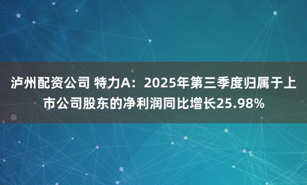 泸州配资公司 特力A：2025年第三季度归属于上市公司股东的净利润同比增长25.98%