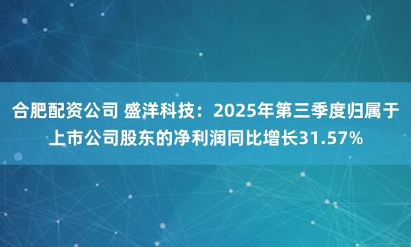 合肥配资公司 盛洋科技：2025年第三季度归属于上市公司股东的净利润同比增长31.57%