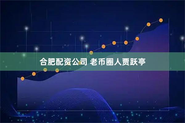 合肥配资公司 老币圈人贾跃亭