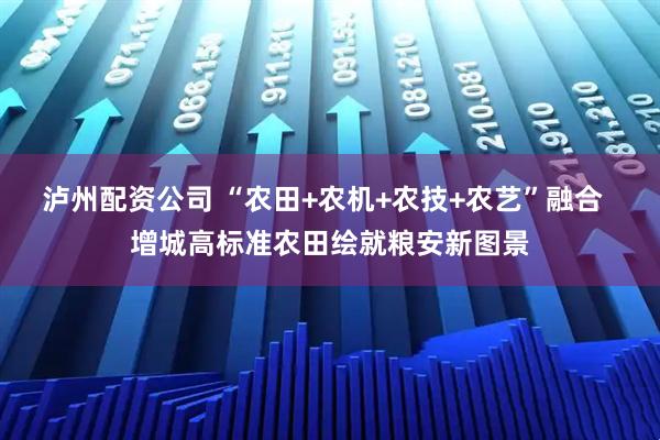 泸州配资公司 “农田+农机+农技+农艺”融合  增城高标准农田绘就粮安新图景